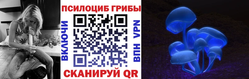 Псилоцибиновые грибы ЛСД  купить наркотики цена  kraken ONION  Торопец 