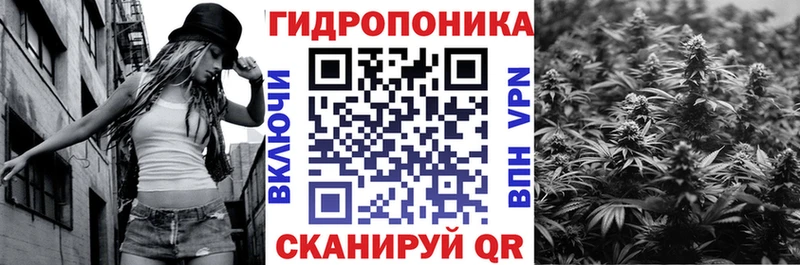 купить Торопец Марихуана SATIVA & INDICA